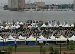 Fest Events